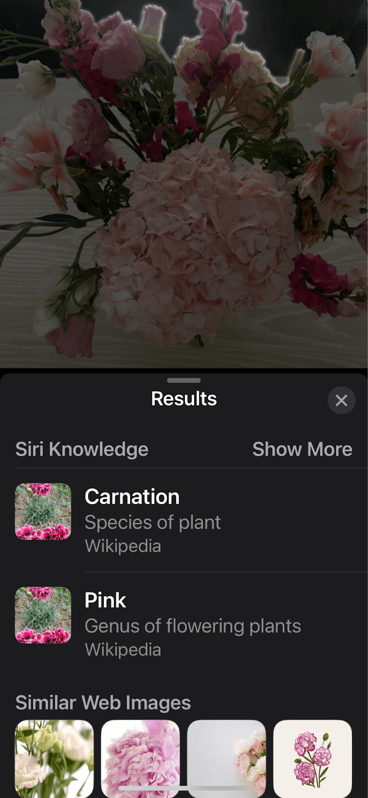Your Phone's Camera Has Secret Powers!